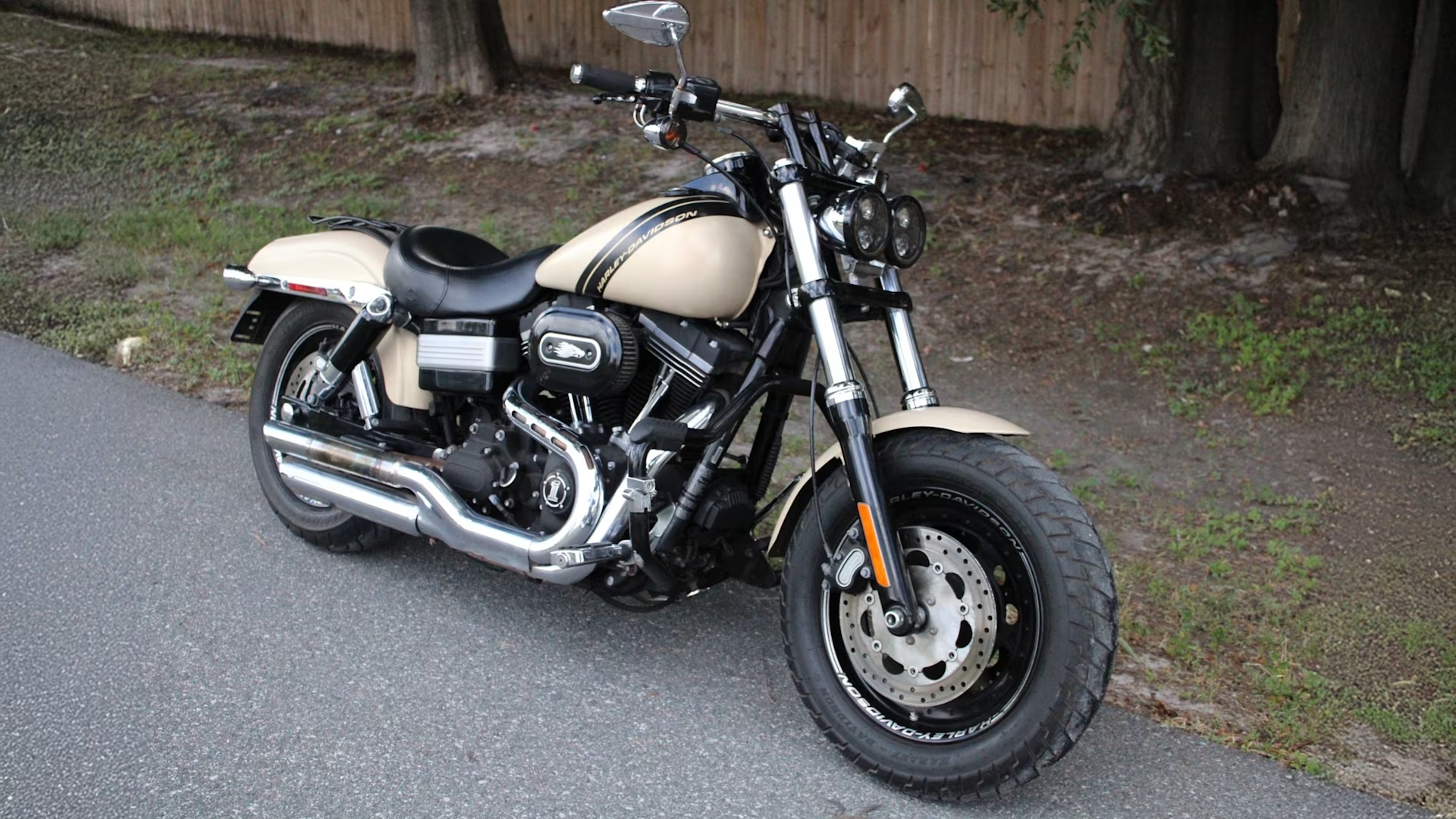 Dyna Fat Bob (FXDF)