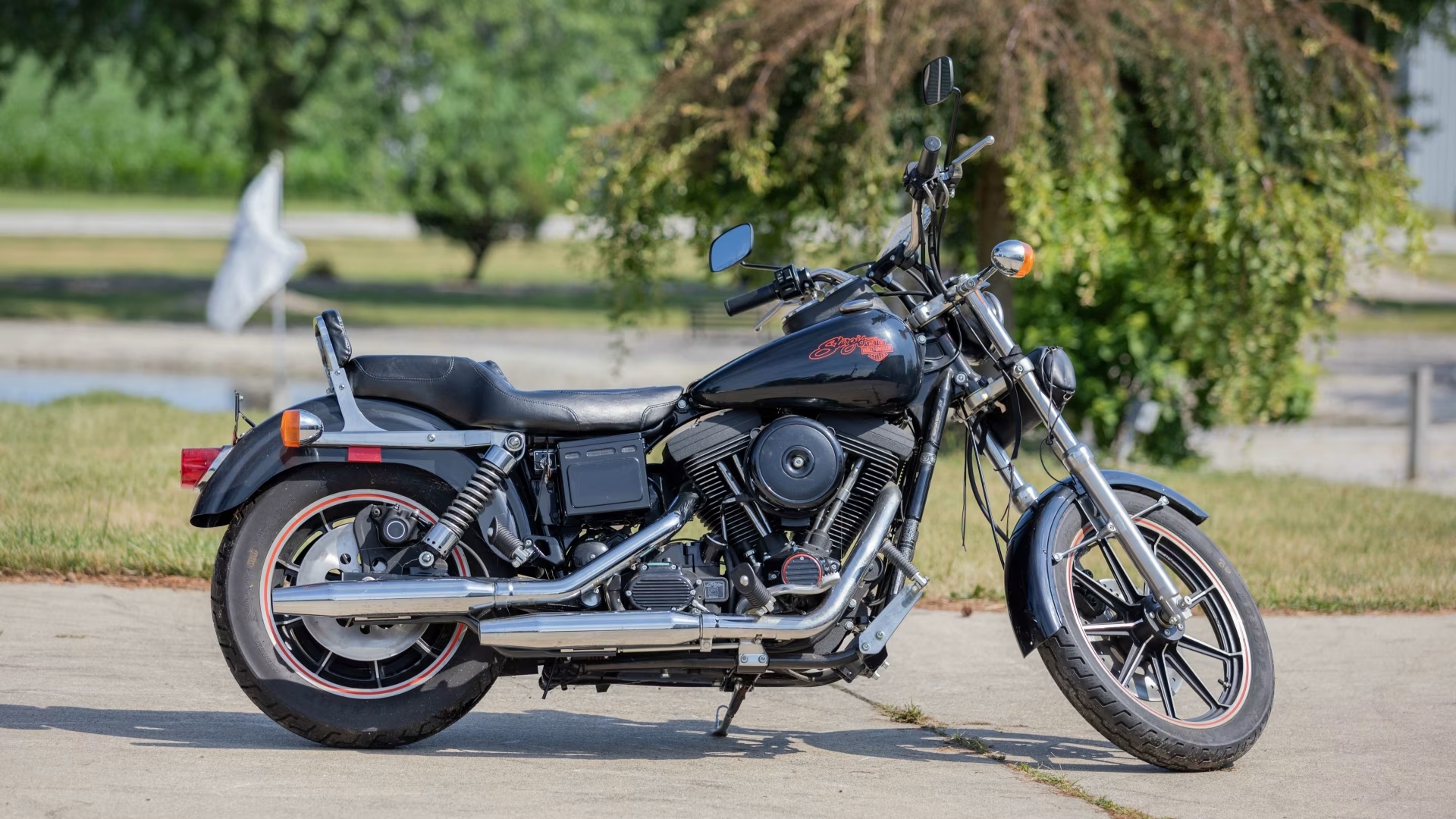 Dyna Sturgis 1991
